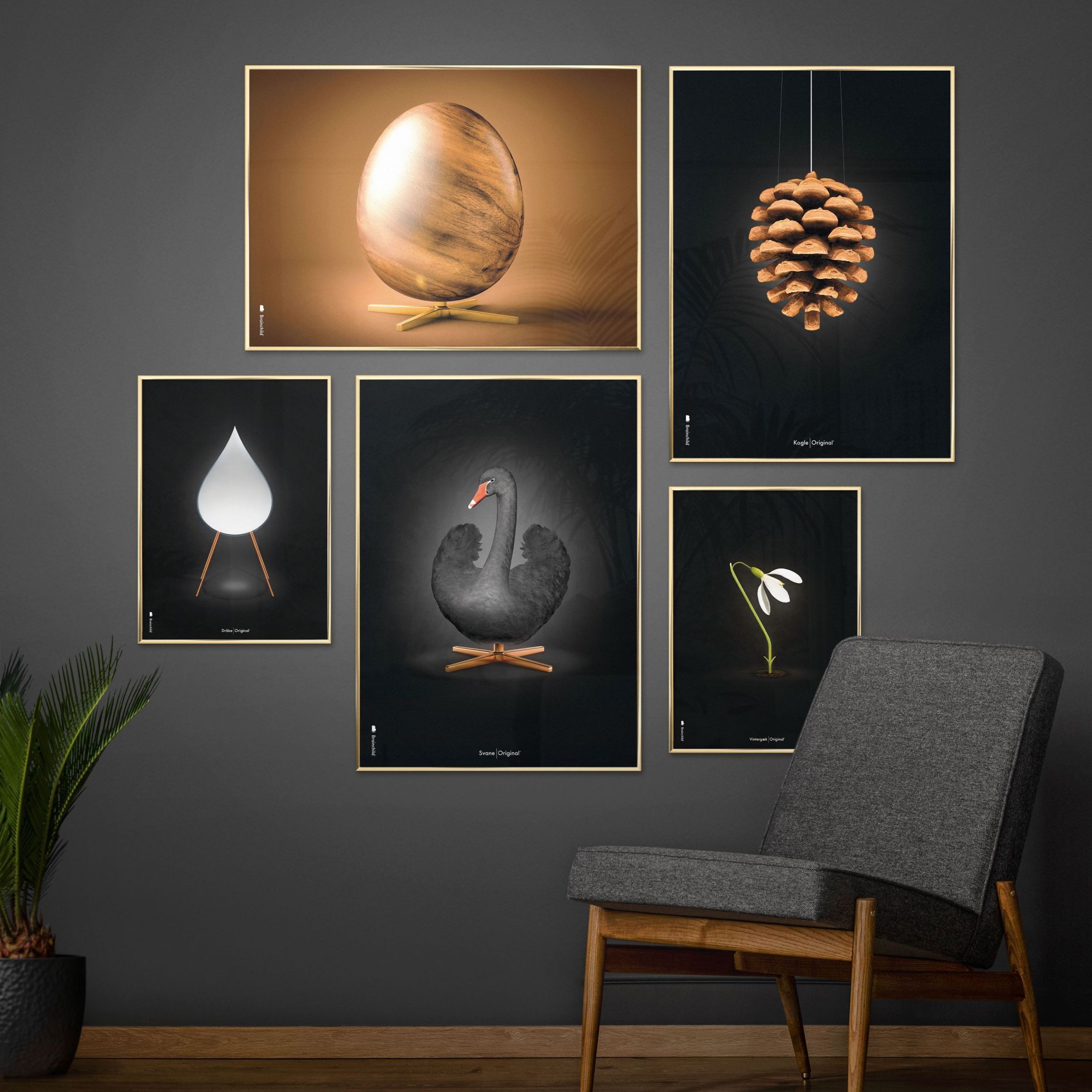 Brainchild Swan Classic Poster, Frame Made Of Light Wood 30x40 Cm, Black/Black Background
