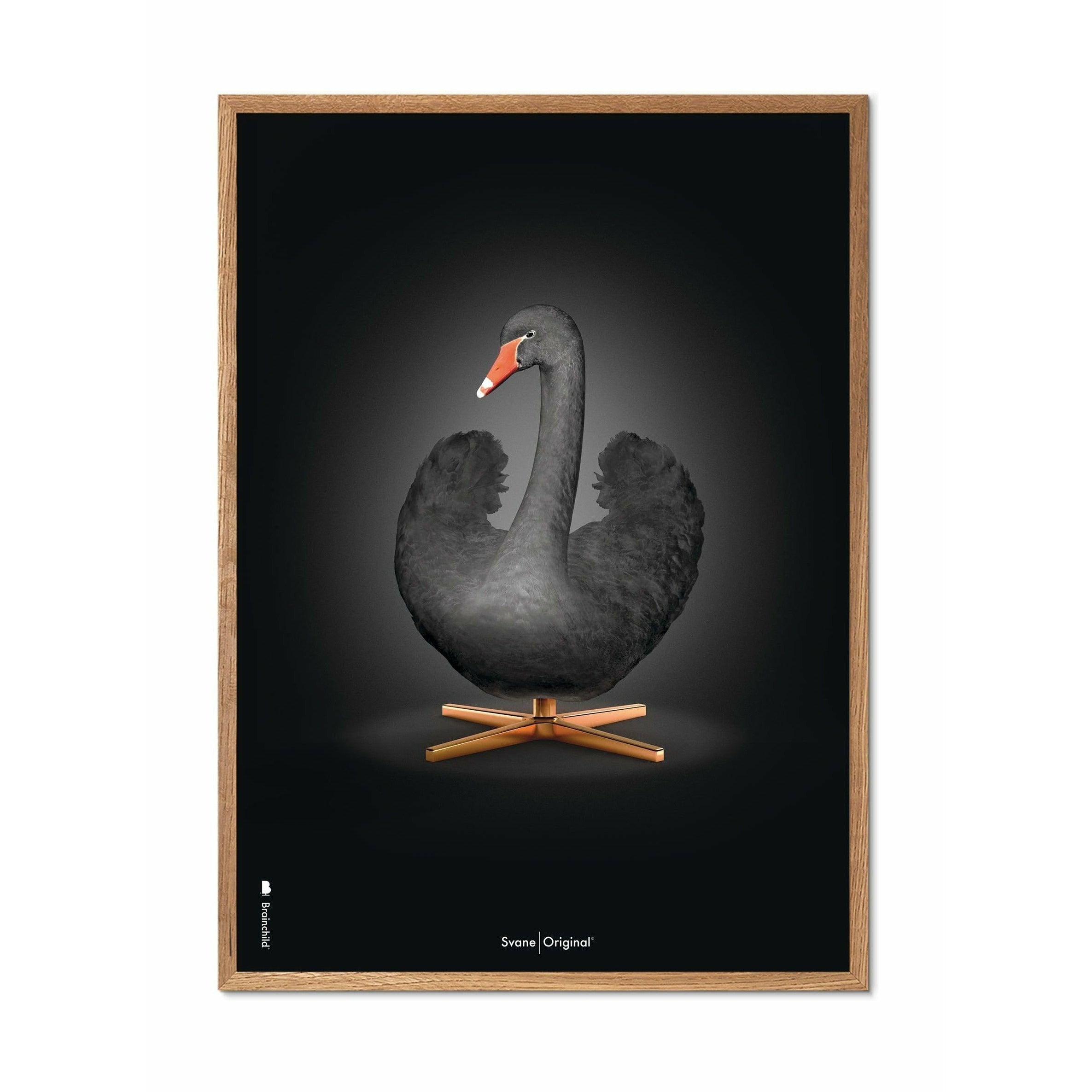 Brainchild Swan Classic Poster, Frame Made Of Light Wood 50x70 Cm, Black/Black Background