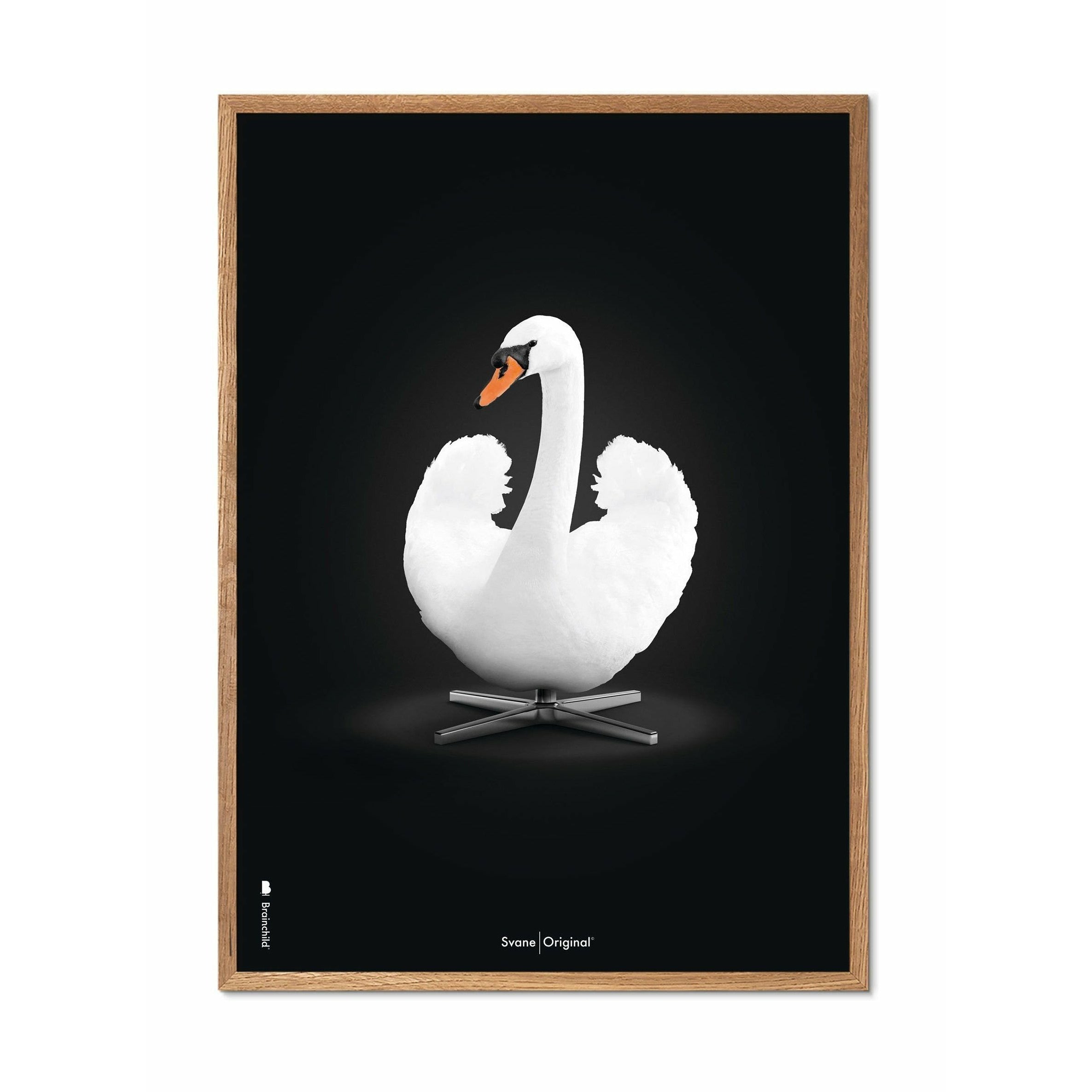 Brainchild Swan Classic Poster, ram gjord av lätt trä 50x70 cm, vit/vit bakgrund