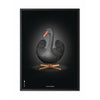 Brainchild Swan Classic Poster, Frame In Black Lacquered Wood 30x40 Cm, Black/Black Background