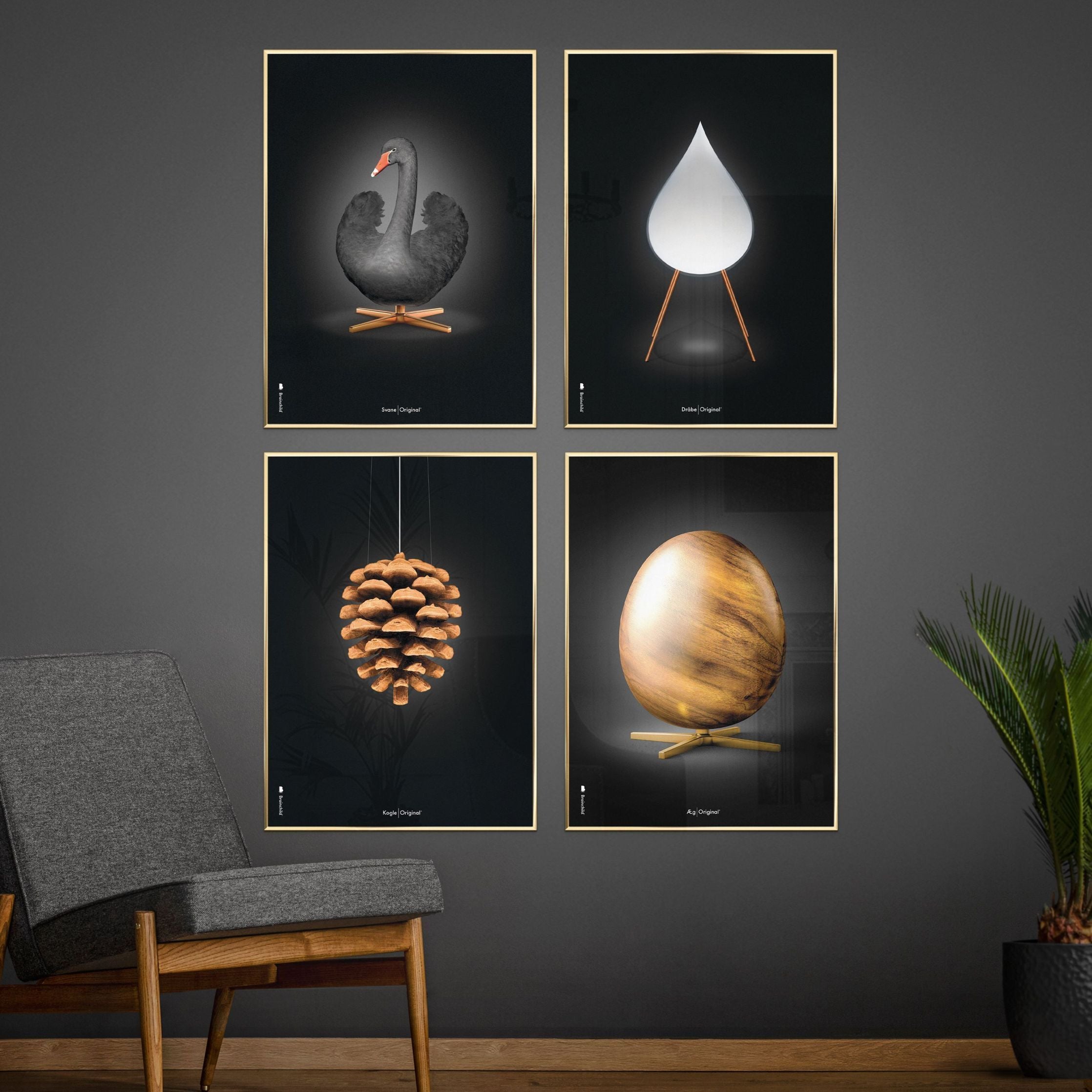 Brainchild Swan Classic Poster, Frame In Black Lacquered Wood 50x70 Cm, Black/Black Background