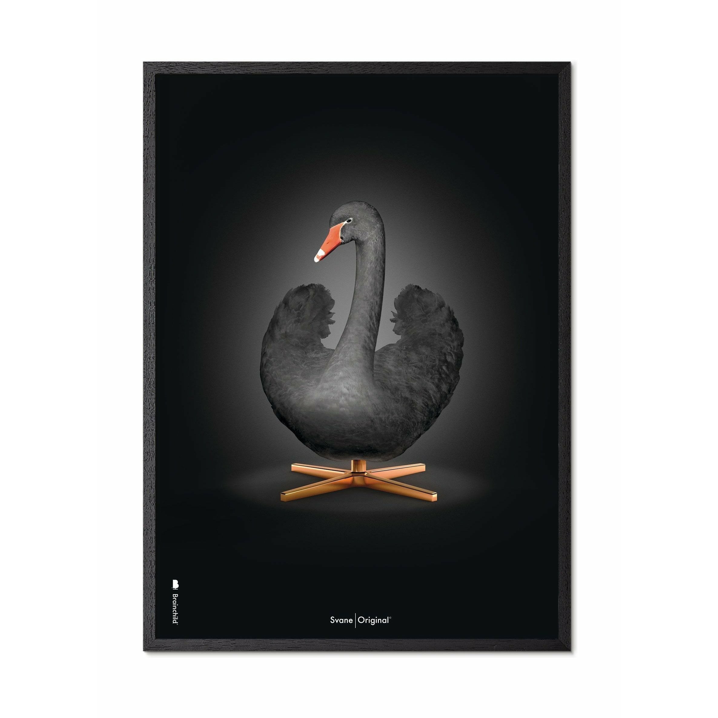 Brainchild Swan Classic Poster, Frame In Black Lacquered Wood 50x70 Cm, Black/Black Background