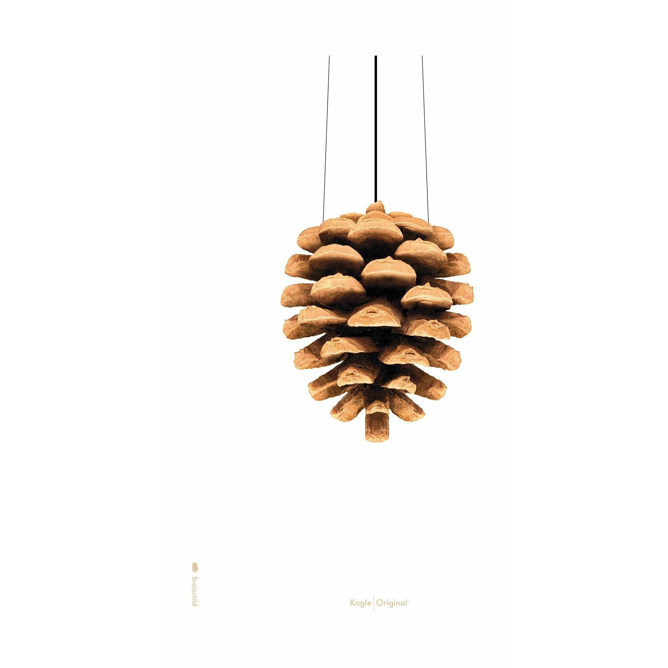 Poster classico del cono di pino da un'idea senza cornice 30x40 cm, sfondo bianco