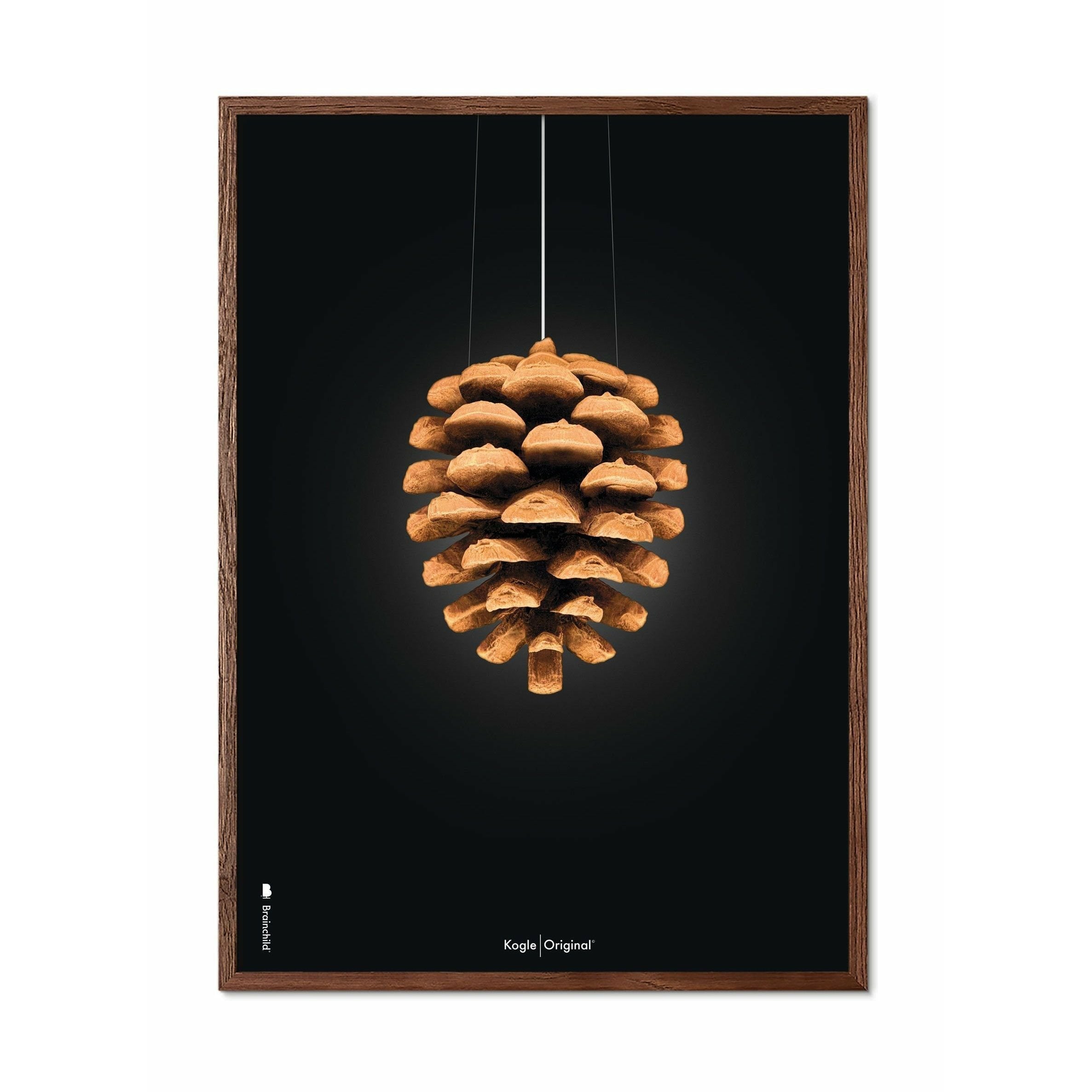 Brainchild Pine Cone Classic Poster, Frame Made Of Dark Wood 70x100 Cm, Black Background