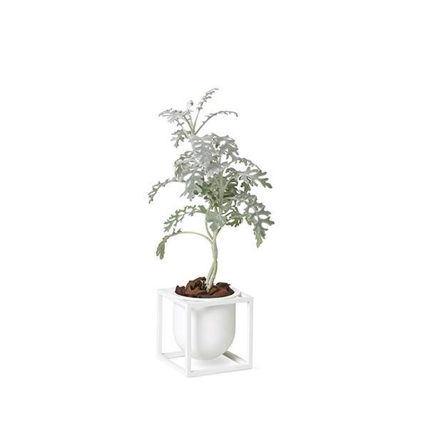 Audo Copenhagen Kubus Blumenpot weiß, 10 cm