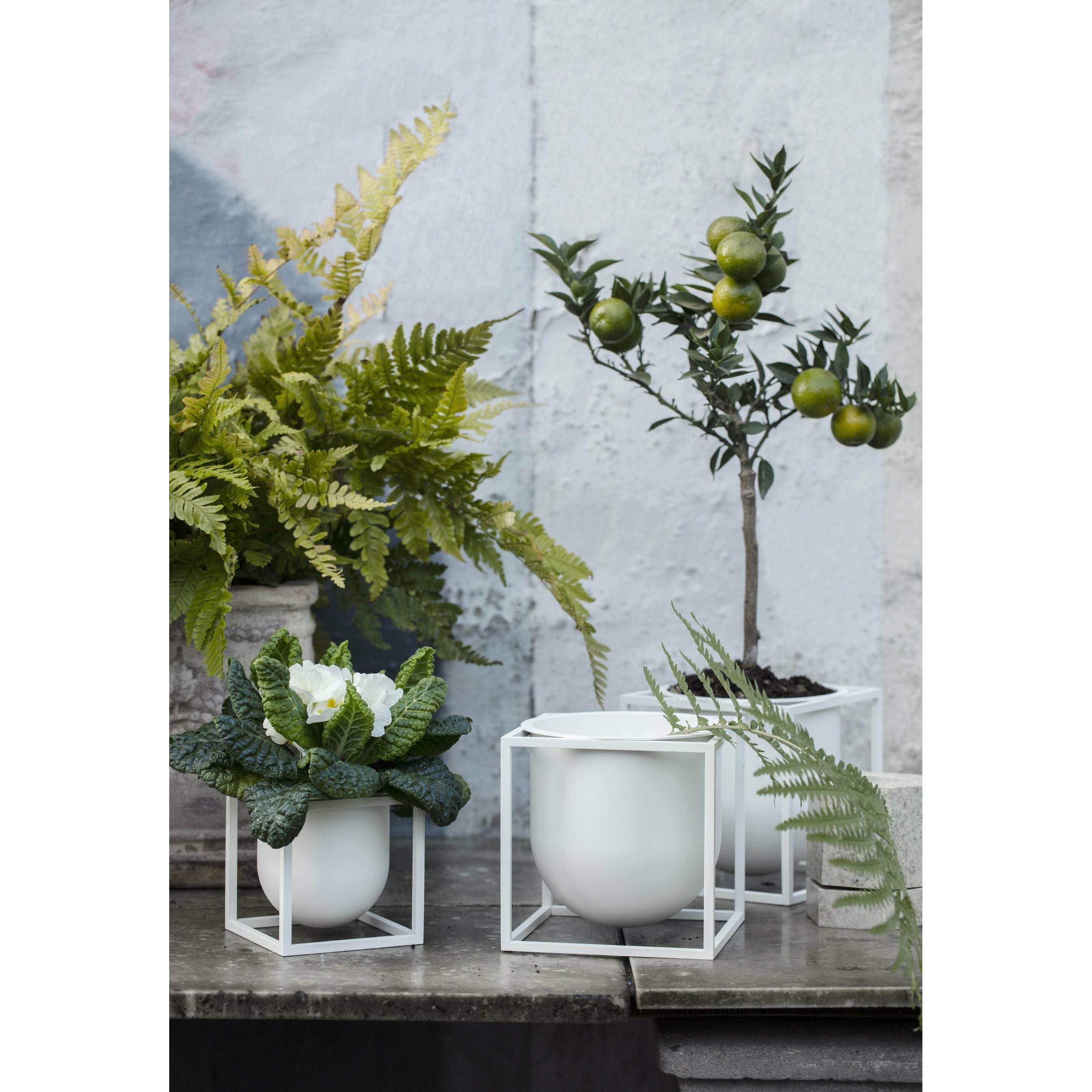 Audo Copenhagen Kubus Blumenpot weiß, 14 cm