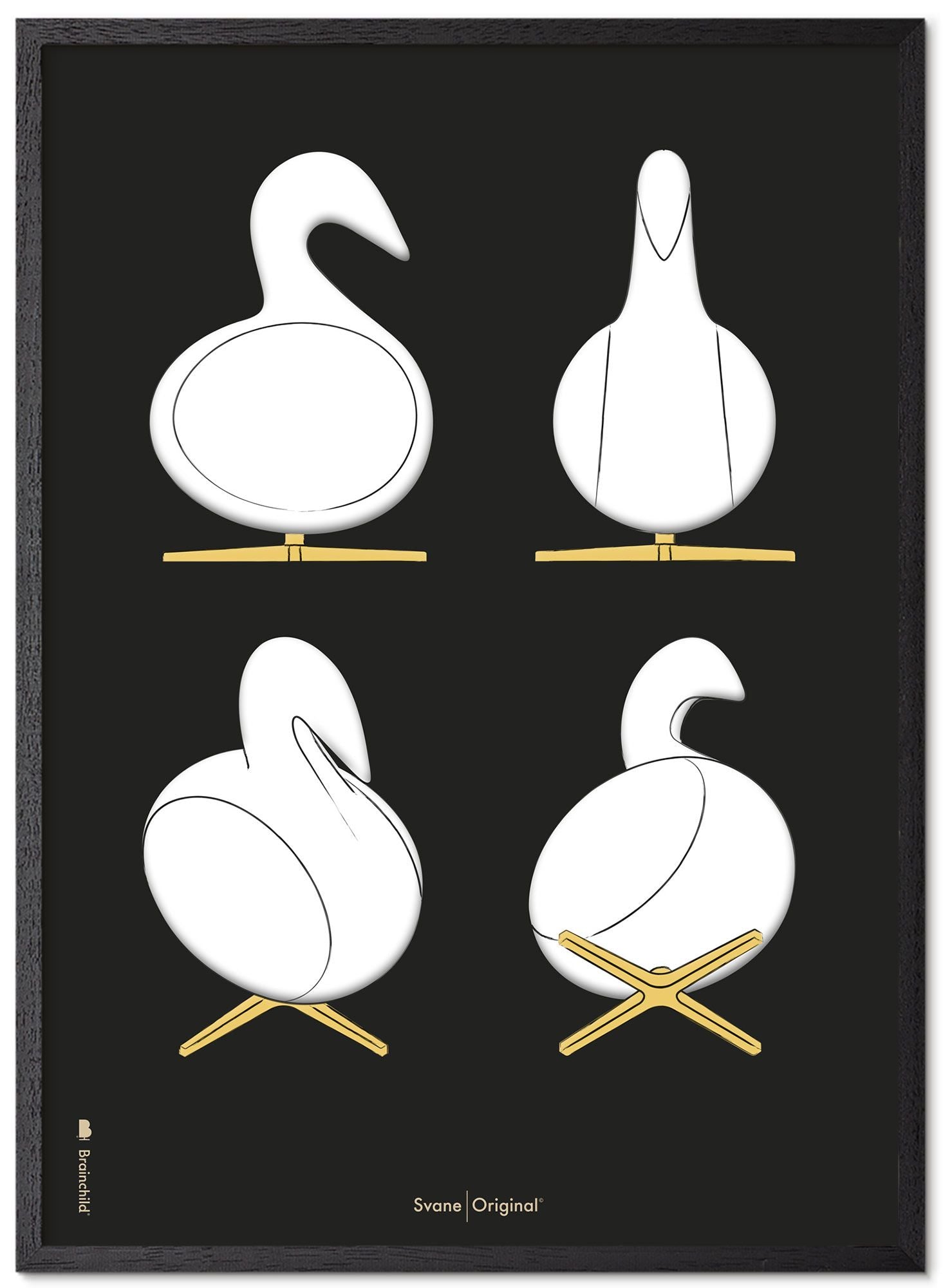 Brainchild Swan Design Sketches posterframe gemaakt van zwart gelakt hout 70x100 cm, zwarte achtergrond