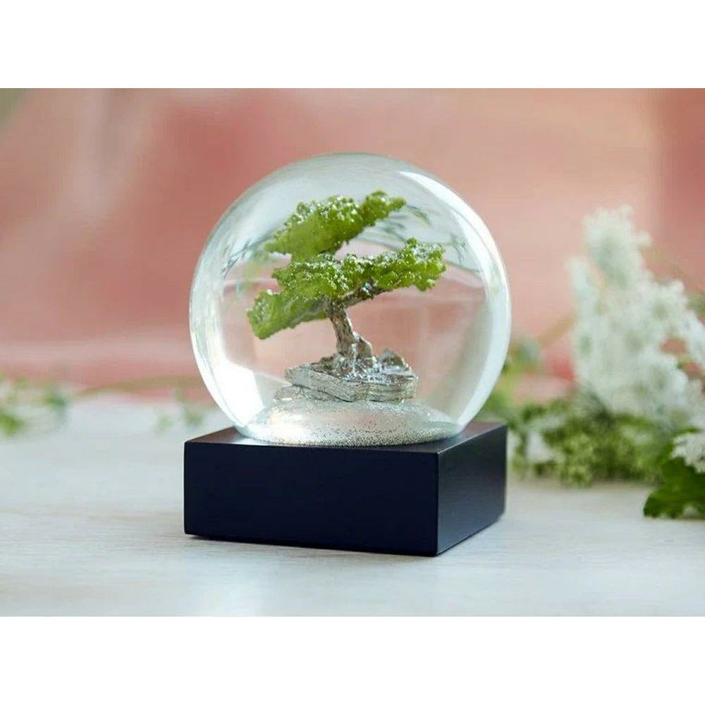 Cool Snow Globes Bonsai Tree