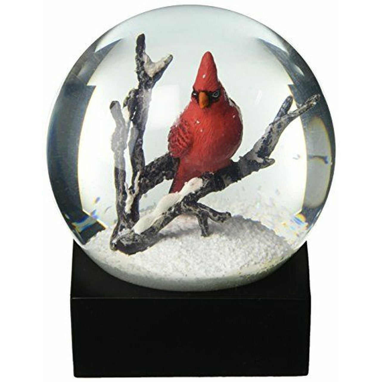 Canta cardinali di fantastici globi di neve