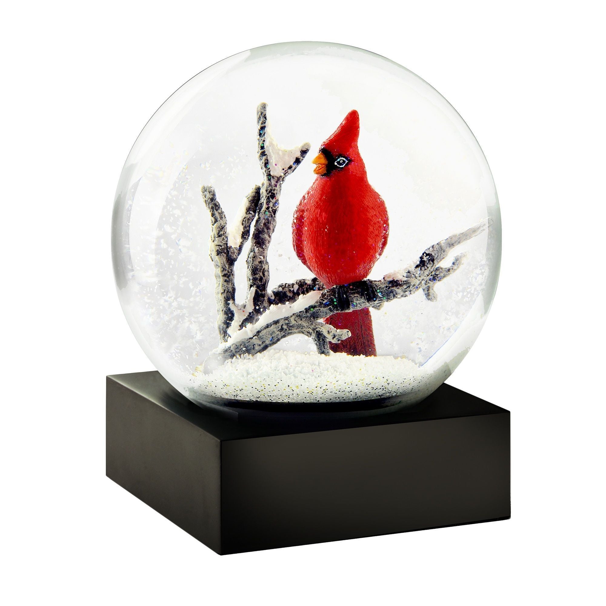 Cool Snow Globes Chant cardinal