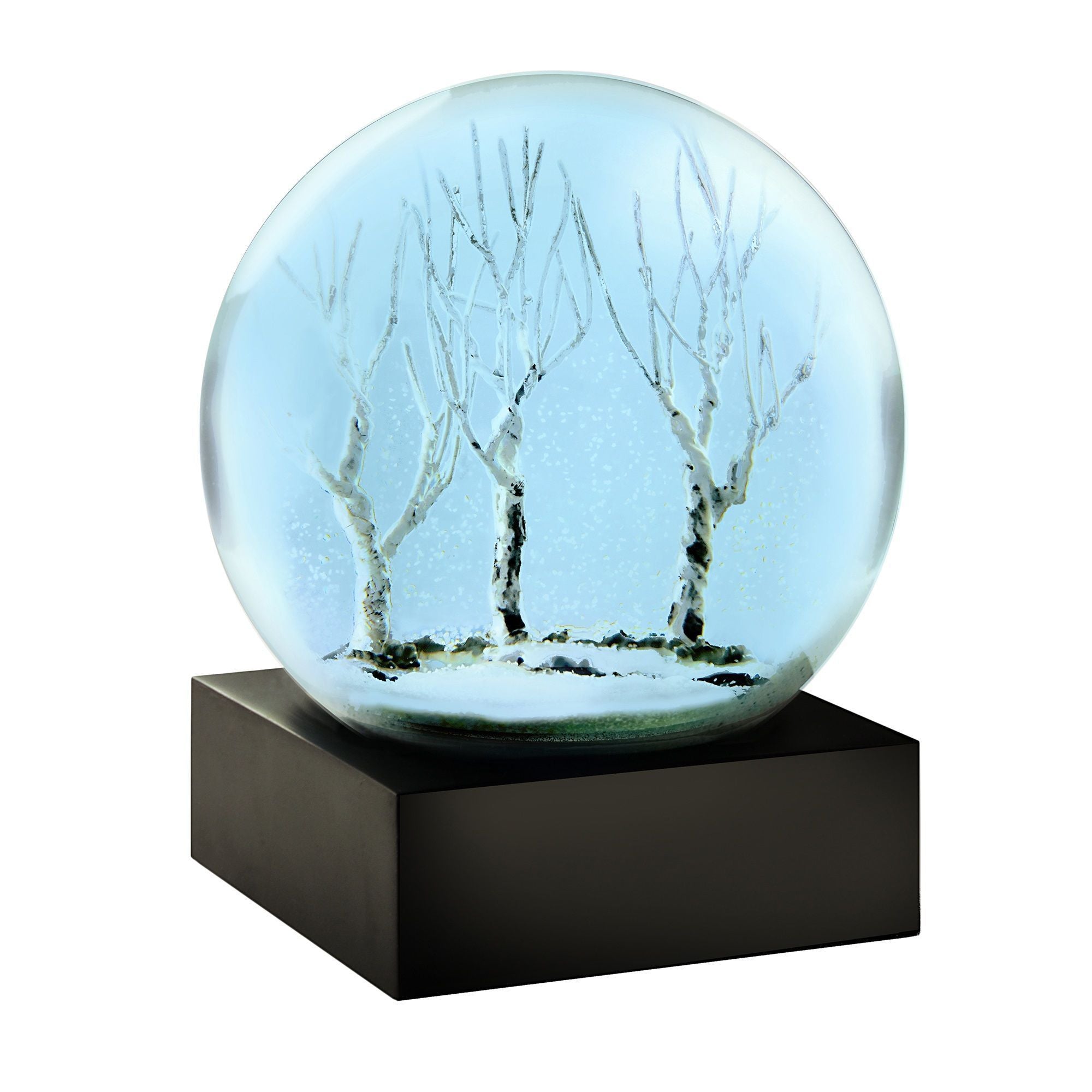 Cool Snow Globes Soirée d'hiver