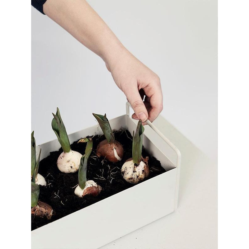 Ferm Living Plant Box Grigio chiaro, 14 cm