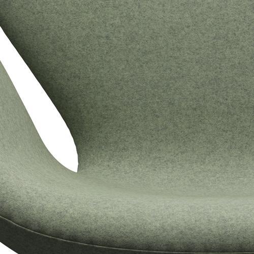 Fritz Hansen Swan休息室椅子，黑色漆/Divina Melange Light Green
