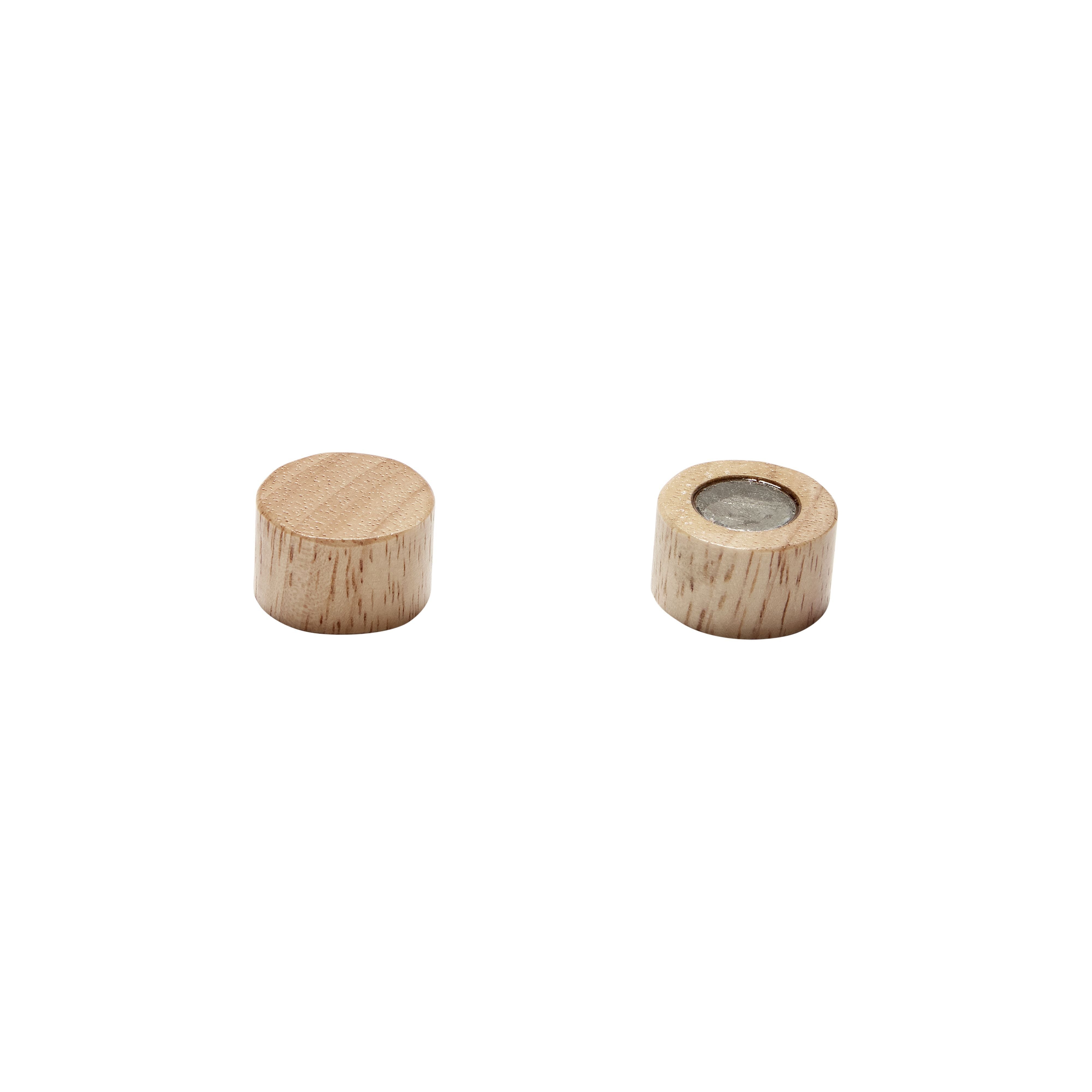 Hübsch吸引磁铁圆形橡胶/木材