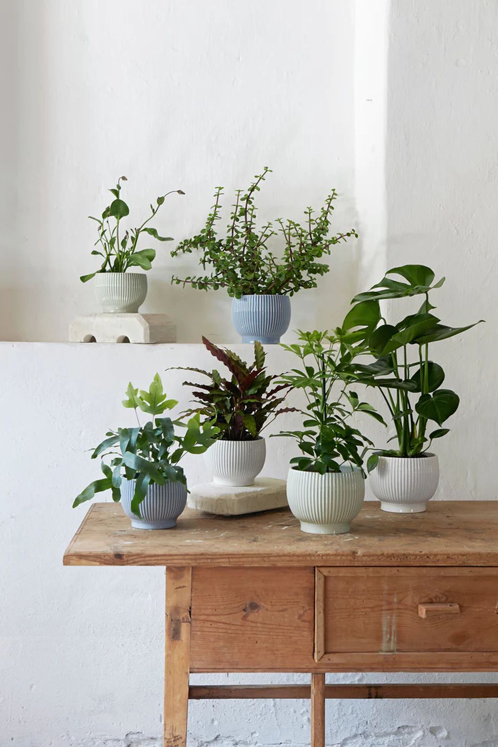 Krabstrup Keramik Flowerpot con rotoli Ø 14,5 cm, verde menta