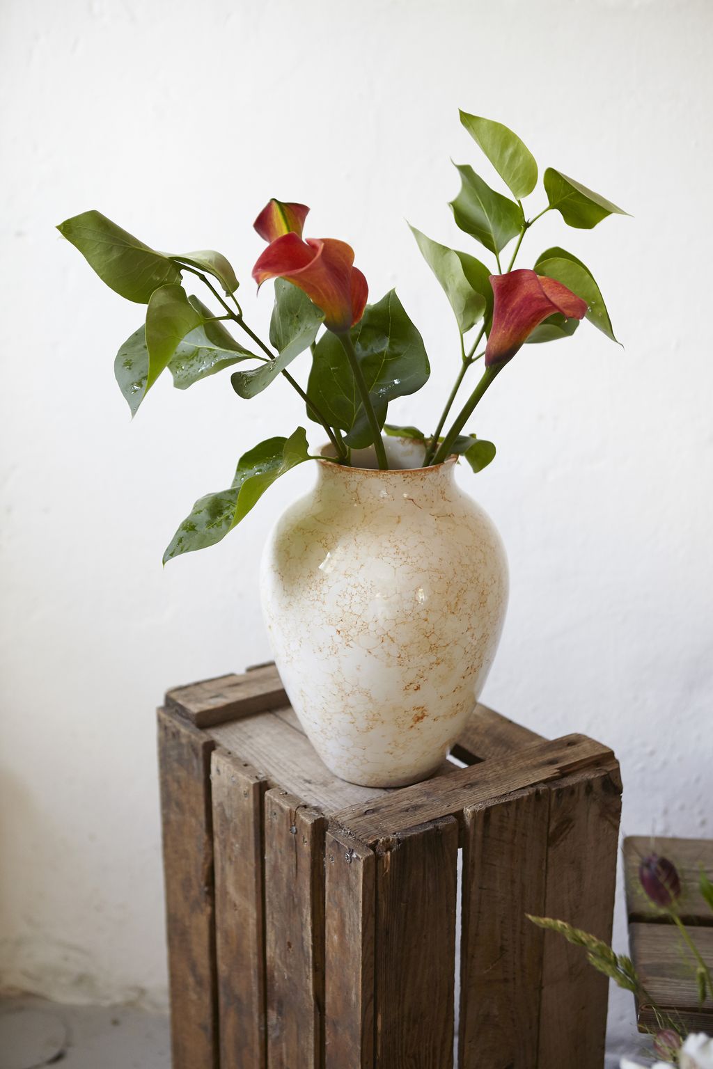 Knabstrup Keramik花瓶Natura H 27厘米，白/棕色