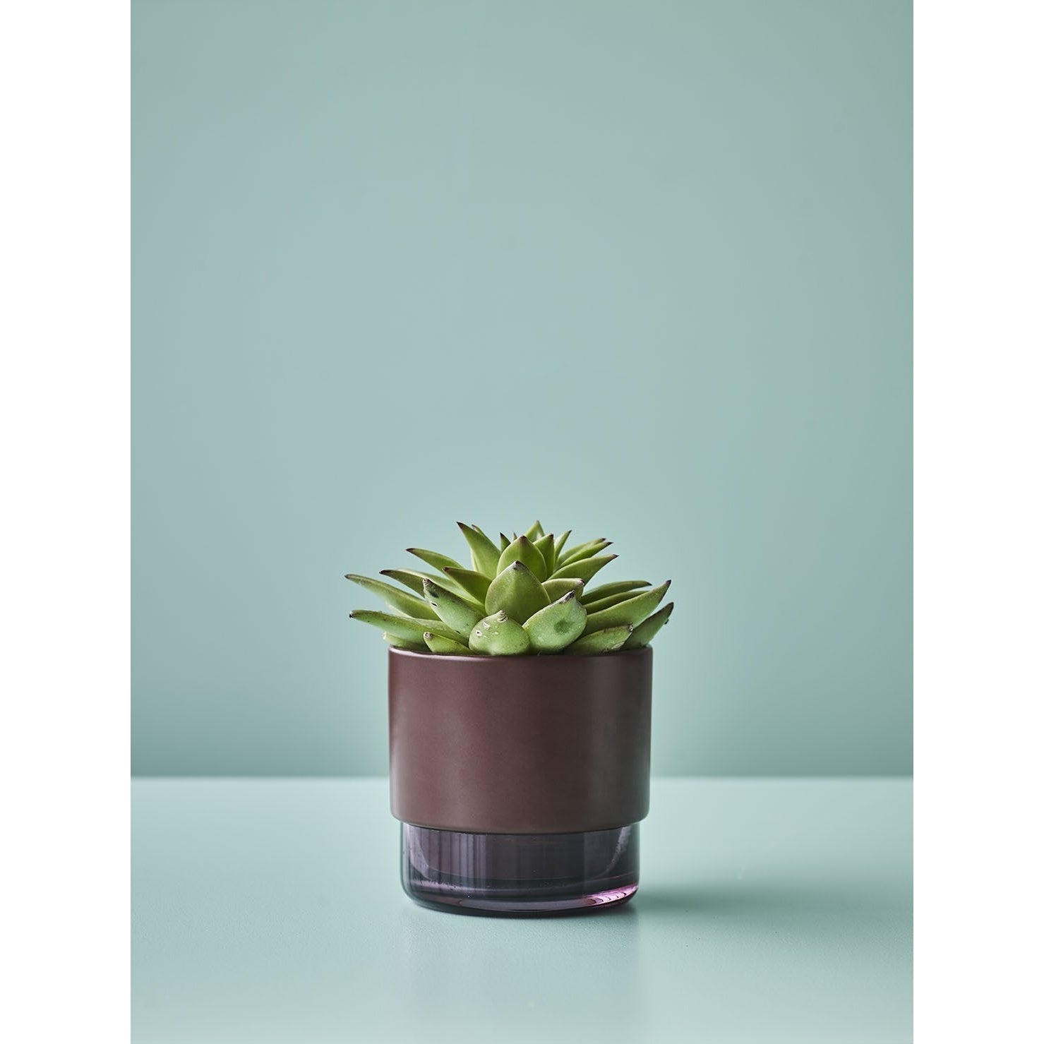 Lucie Kaas Gro Flowerpot Laurel Oak, 12,5 cm