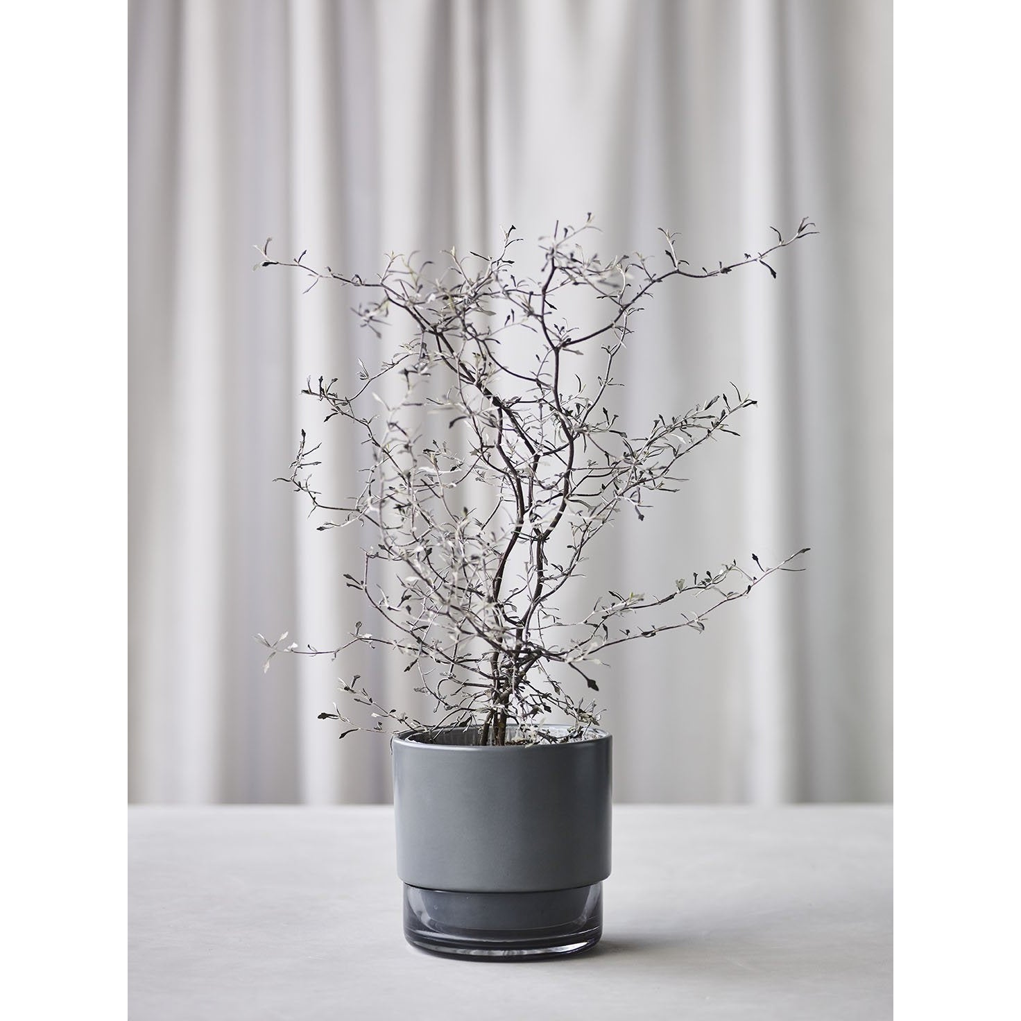 Lucie Kaas Gro Flowerpot Laurel Oak, 12,5 cm