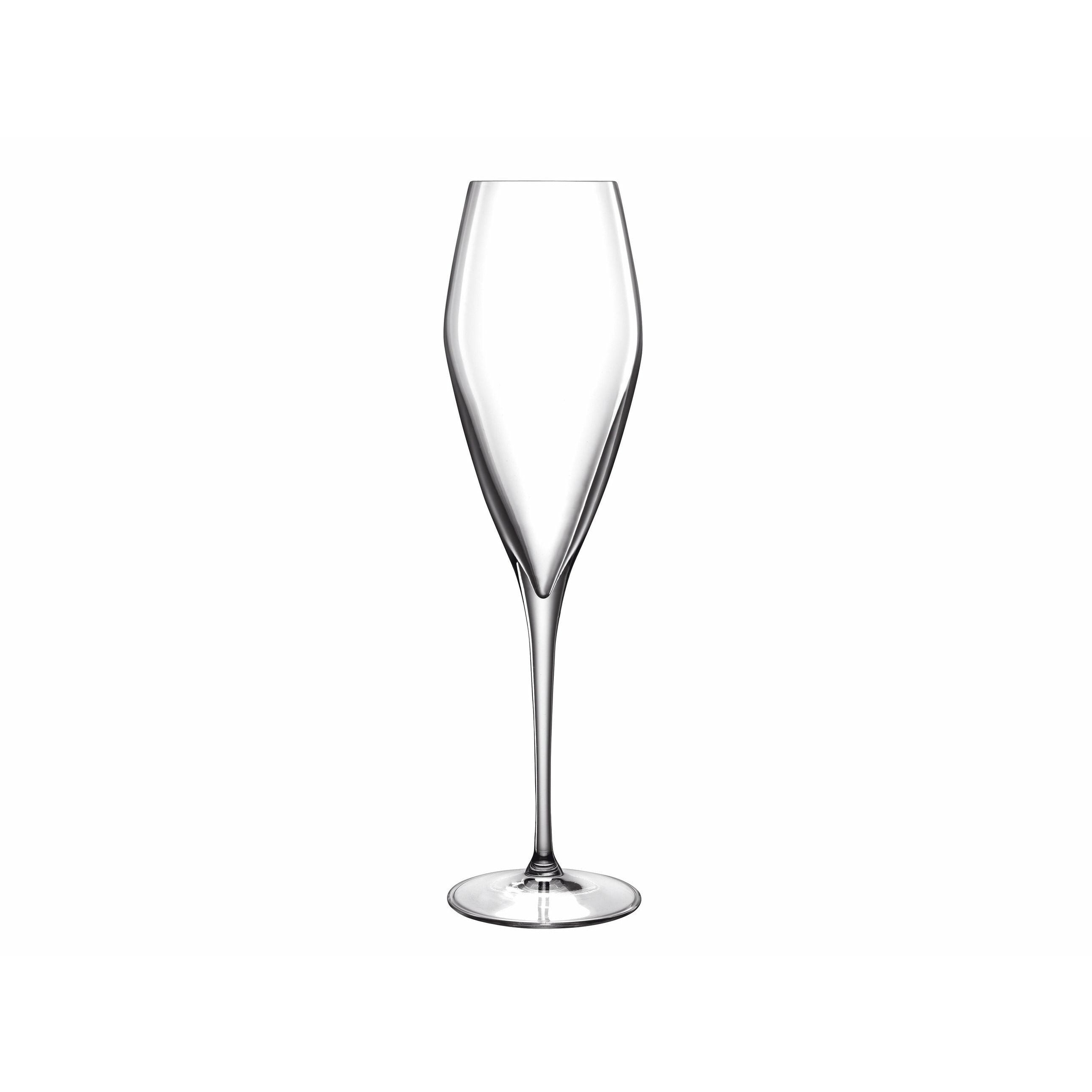 Luigi Bormioli Atelier Champagne Glass Prosecco, 2 piezas