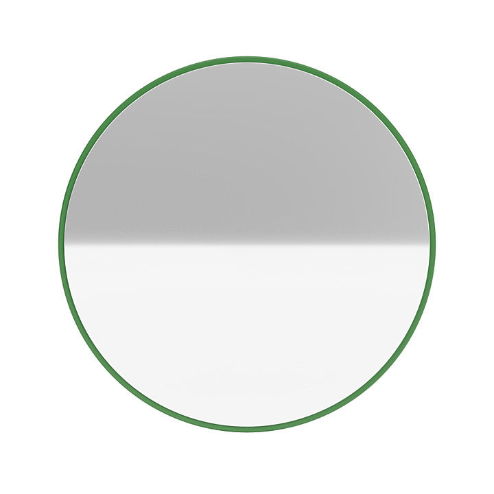 Espejo de marco de color de Montana, perejil verde