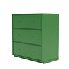 Montana Carry Dresser con plinto da 3 cm, verde prezzemolo