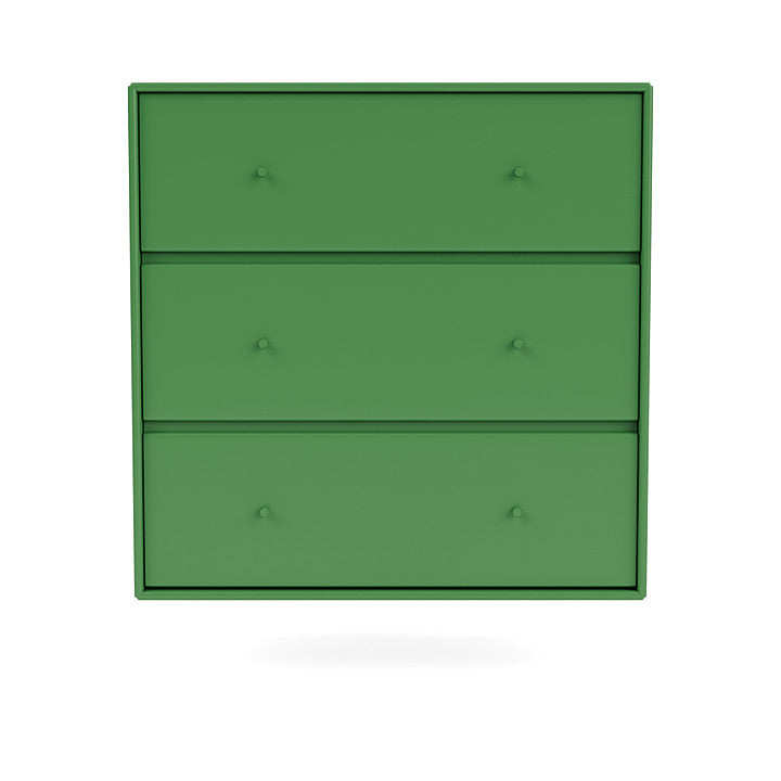 Montana Carry Dresser con binario di sospensione, verde prezzemolo