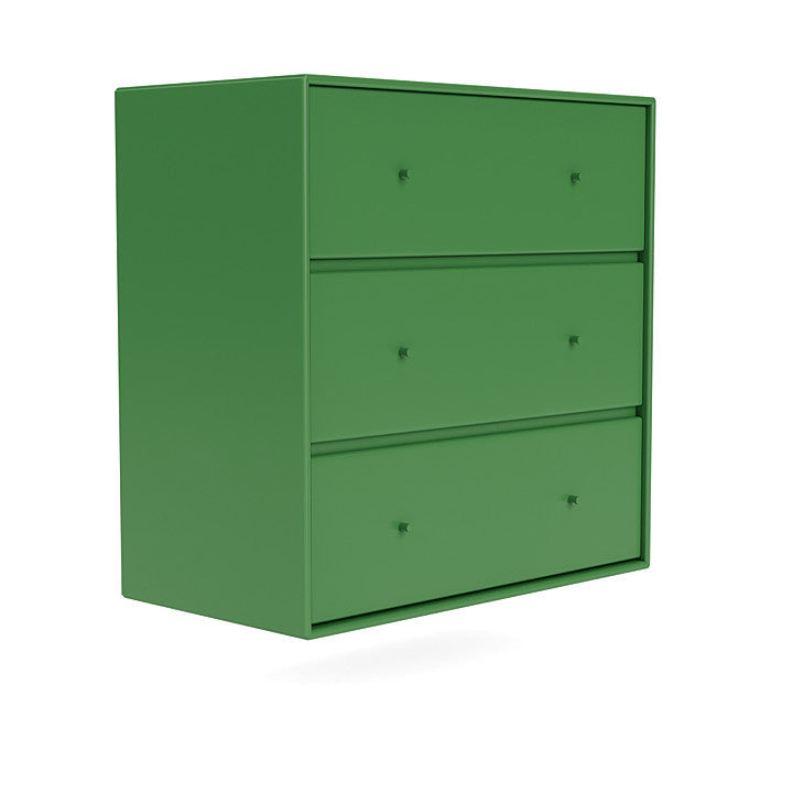 Montana Carry Dresser con binario di sospensione, verde prezzemolo