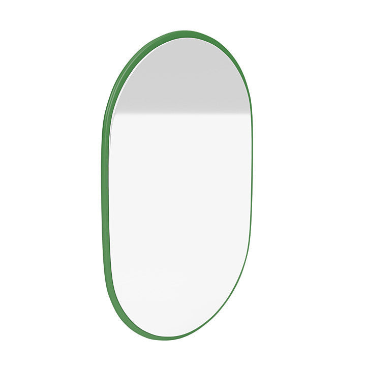 蒙大拿州外观椭圆形镜子，欧芹绿