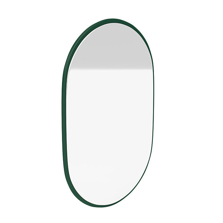 Montana ser ovalt spejl ud, fyrren grøn