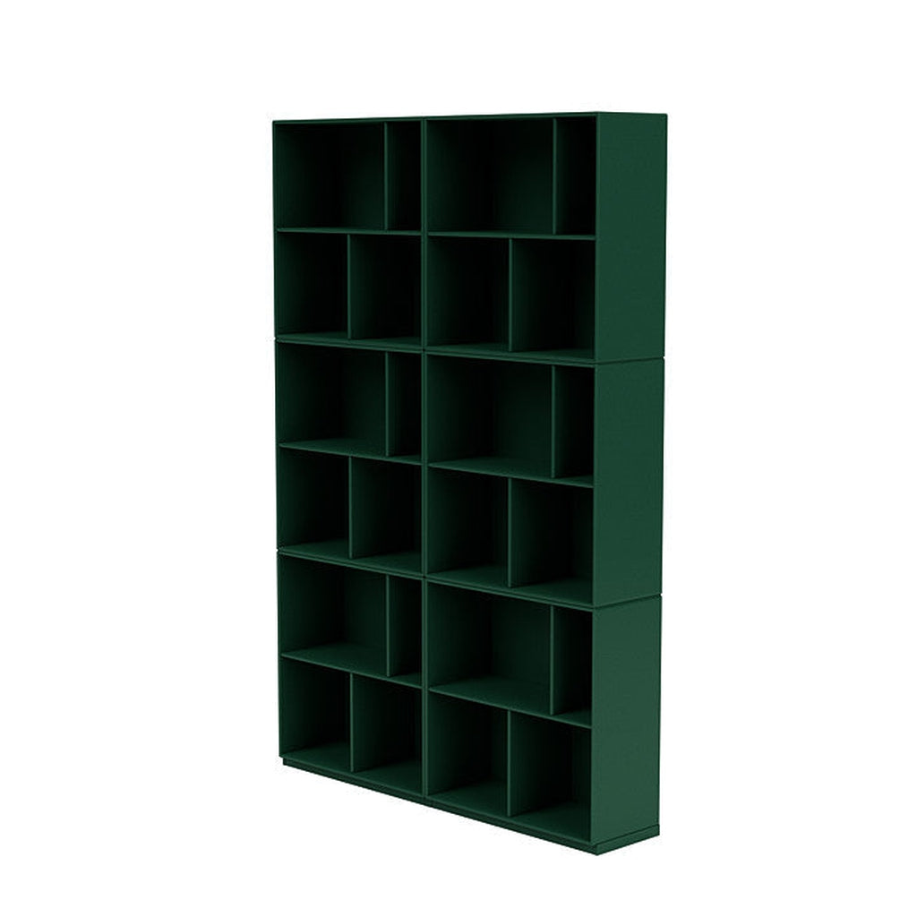 Montana Lire une étagère spacieuse avec du socle de 3 cm, Green de pin