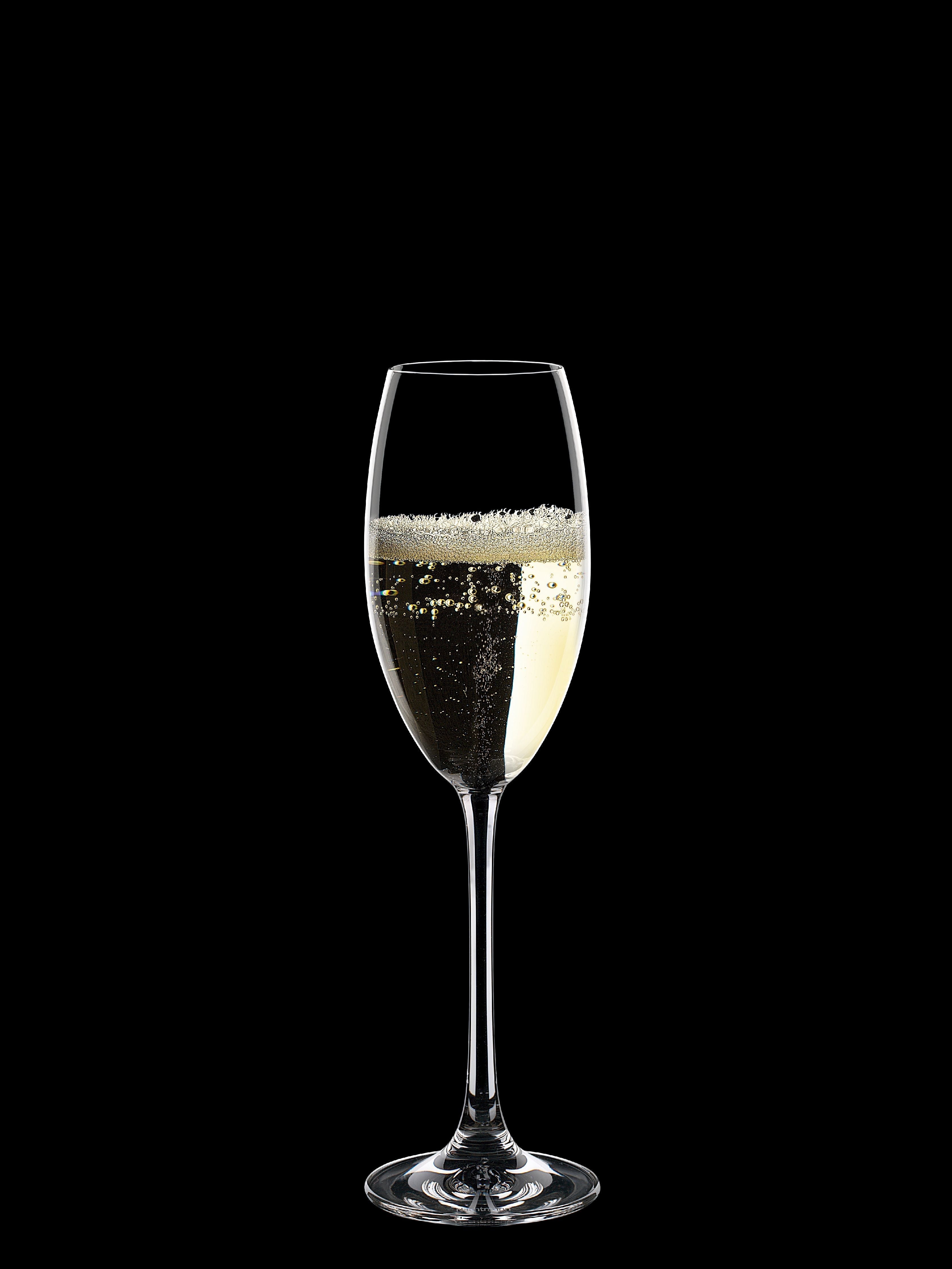 Nachtmann Vivendi Premium Champagne Goblet 272 ml, uppsättning av 4