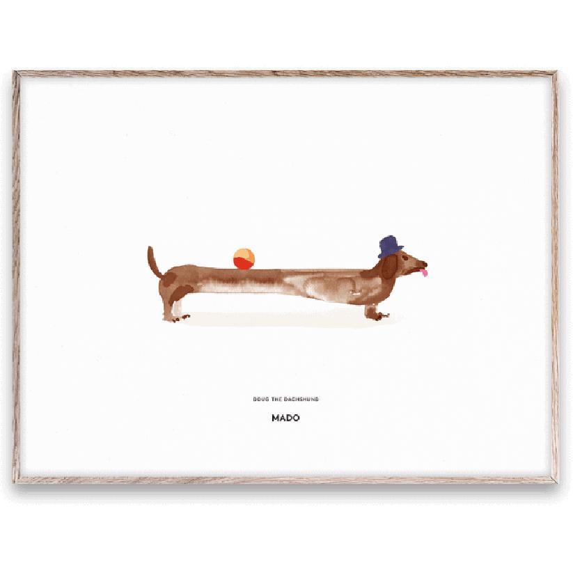 纸集团Doug The Dachshund海报，30x40 cm