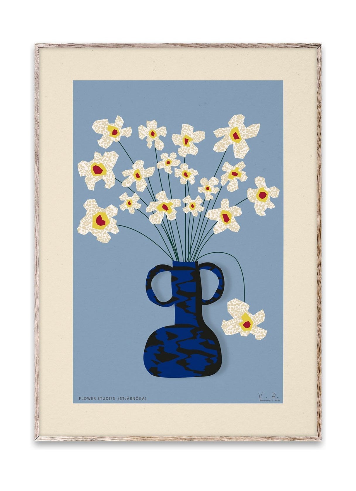 Paper Collective Flower Studies 04 (Stjärnöga) Poster, 50x70 Cm