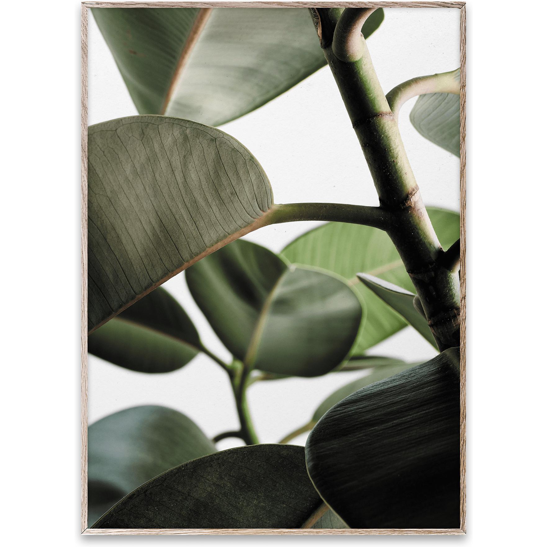 Paper Collective Green Home 03 Poster, 30x40 Cm