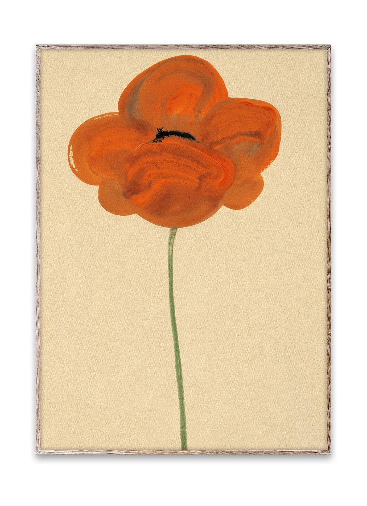 纸集橙色Vallmo海报，30x40厘米