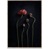 Paper Collective Still Life 02 Poster, 70x100 Cm