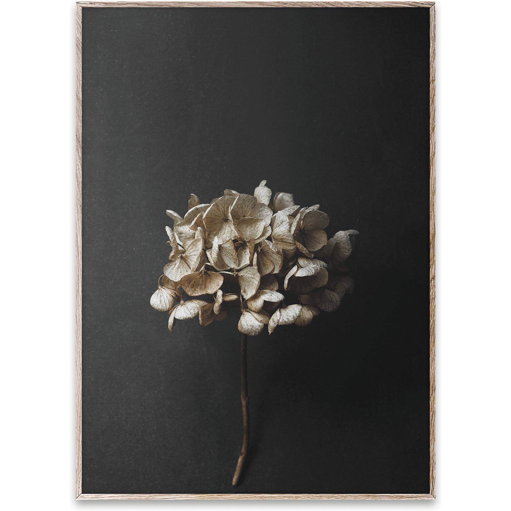 POSTER POSTERGE COLLETTIVE Still Life 04, 50x70 cm