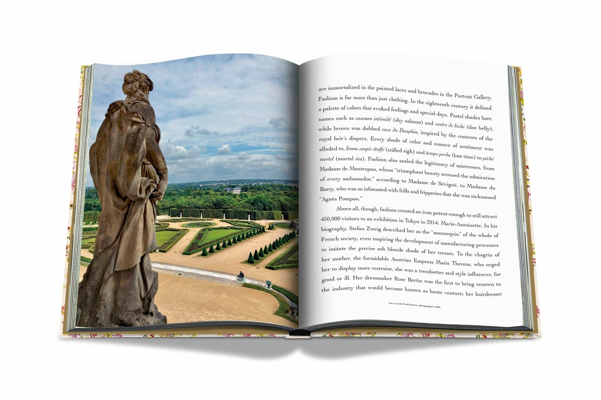 AsnouLine Versalles: de Louis XIV a Jeff Koons