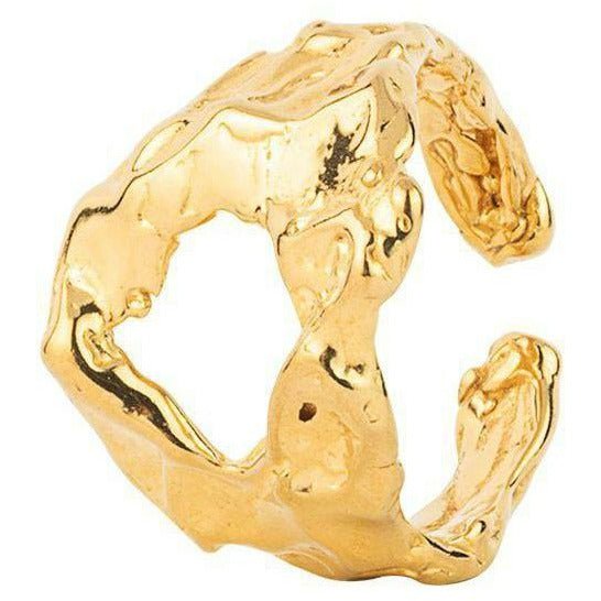 Vincent Armageddon Goldplattierter Ring