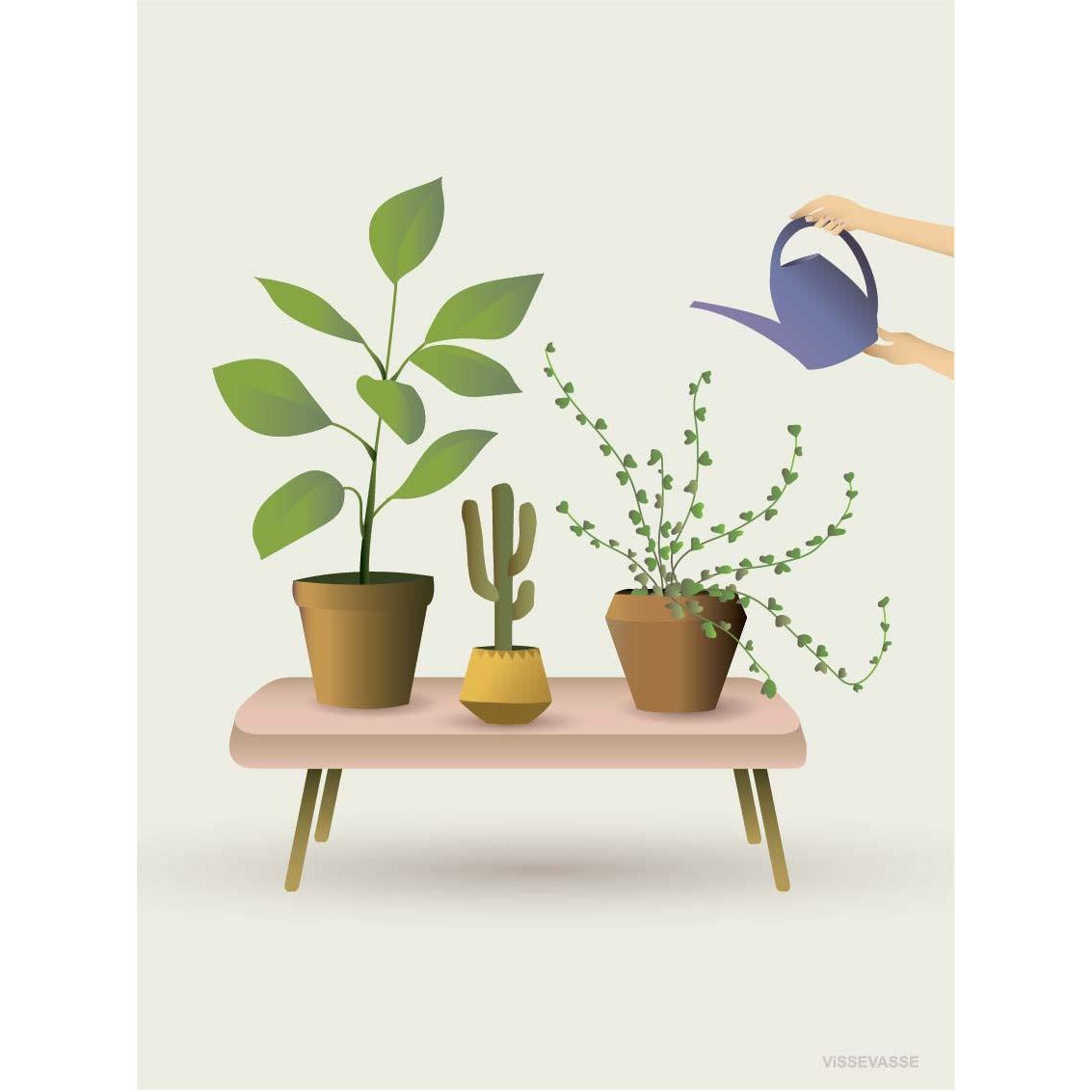 Vissevasse Growing planten poster, 30 x40 cm