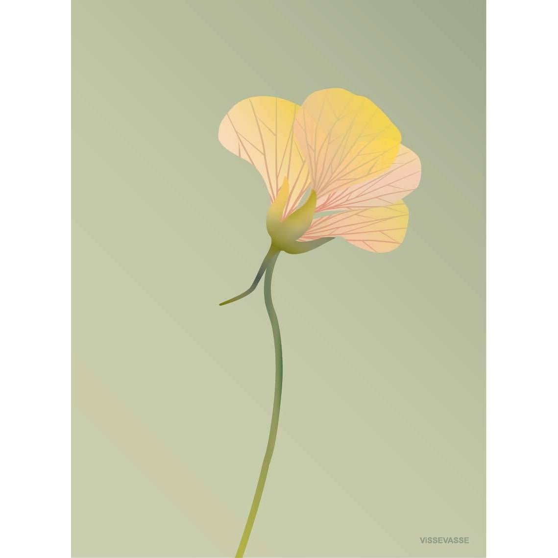 Vissevasse Nasturtium poster 50 x70 cm, groen