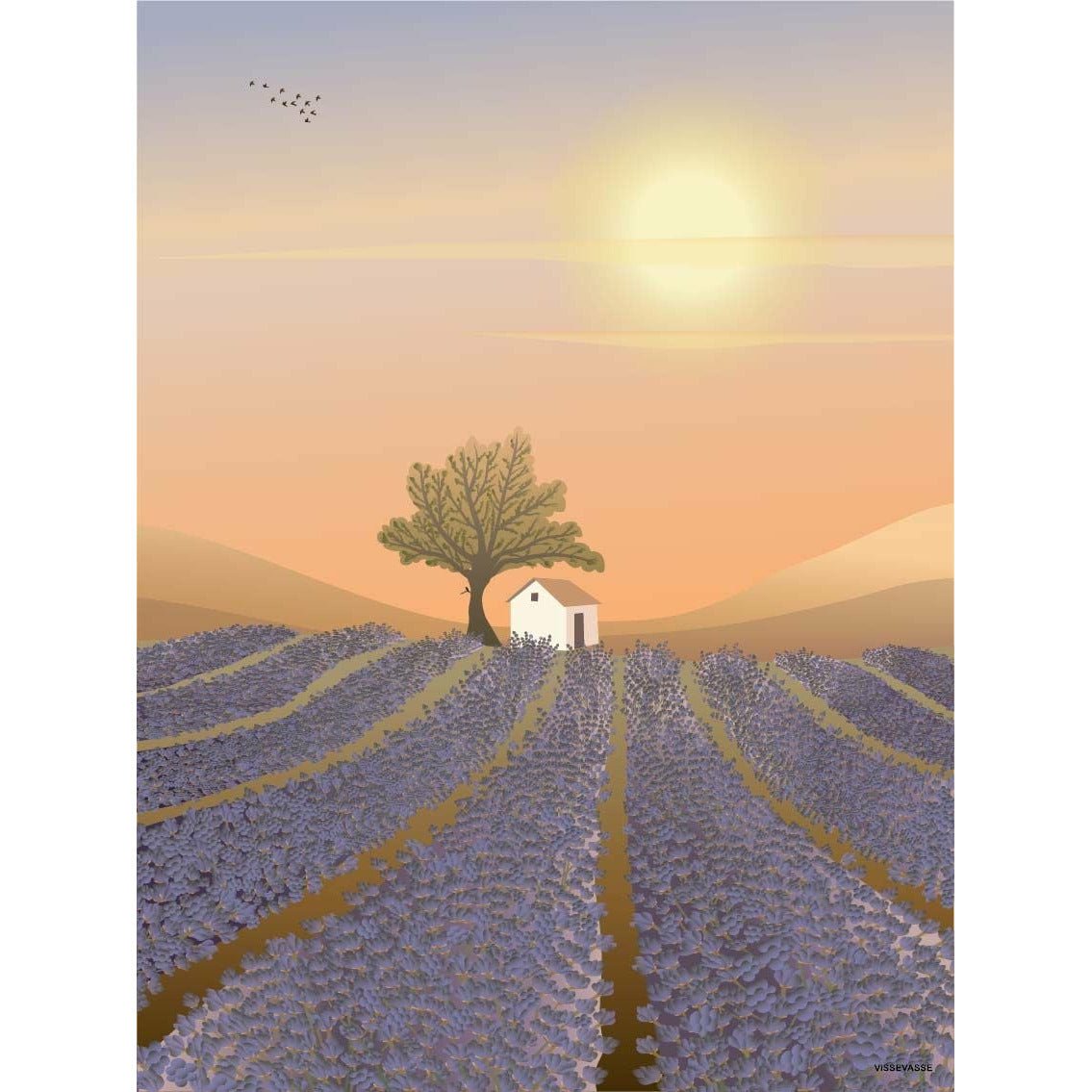 Vissevasse Affiche de champ de lavande, 15x21 cm