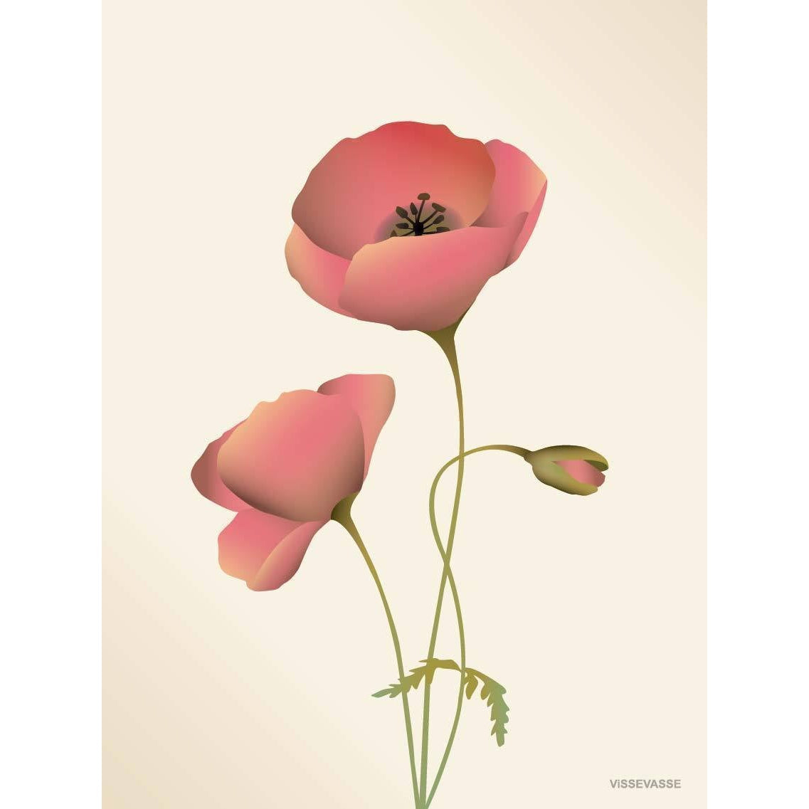 Vissevasse Poppy Greeting Card, Meringue, 10,5x15cm