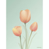 Vissevasse Tulpenposter 30 x40 cm, mint