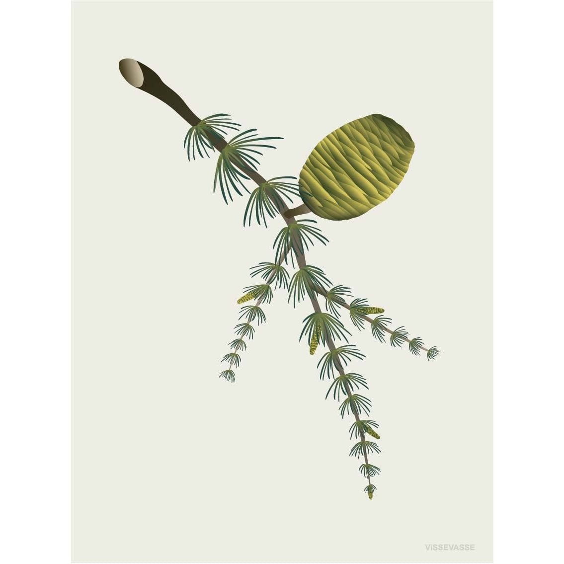 Vissevasse Cedar Cone -affisch, 15 x21 cm
