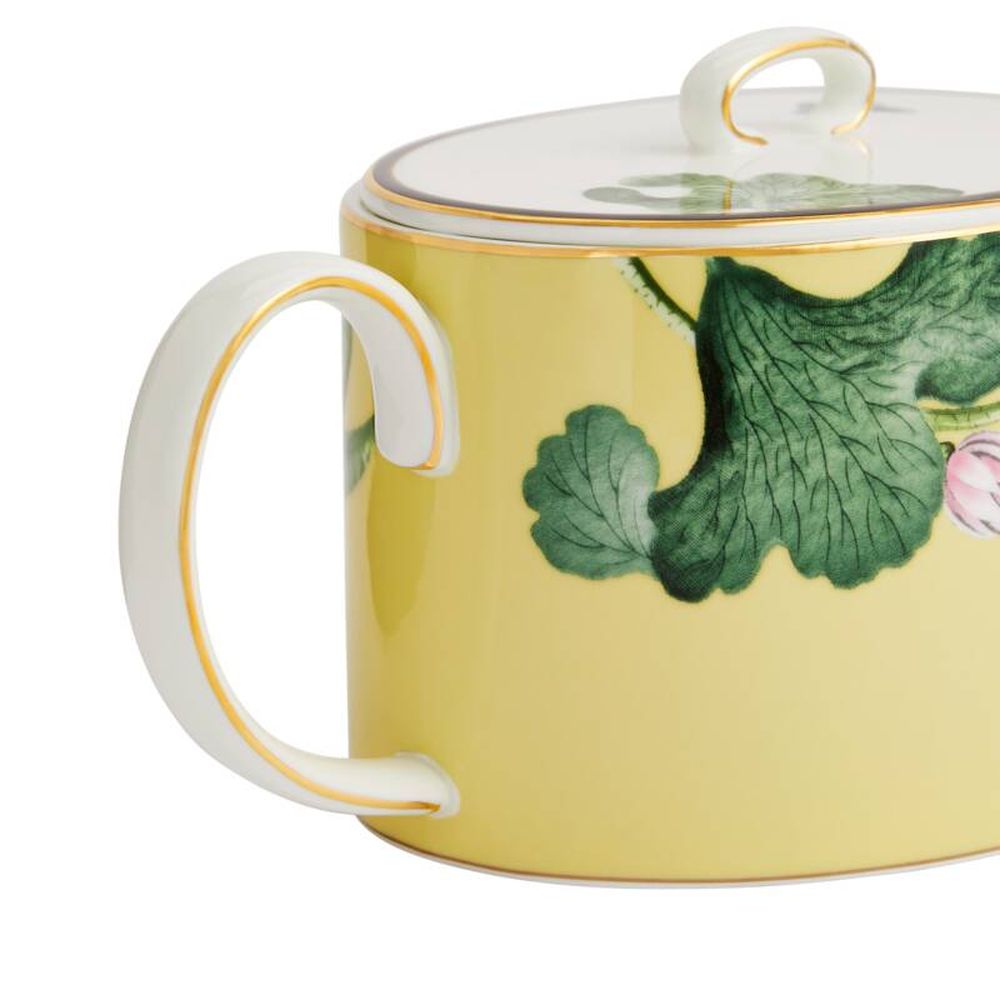 Wedgwood Wonderlust Wasserlilie Teekanne In Geschenkbox