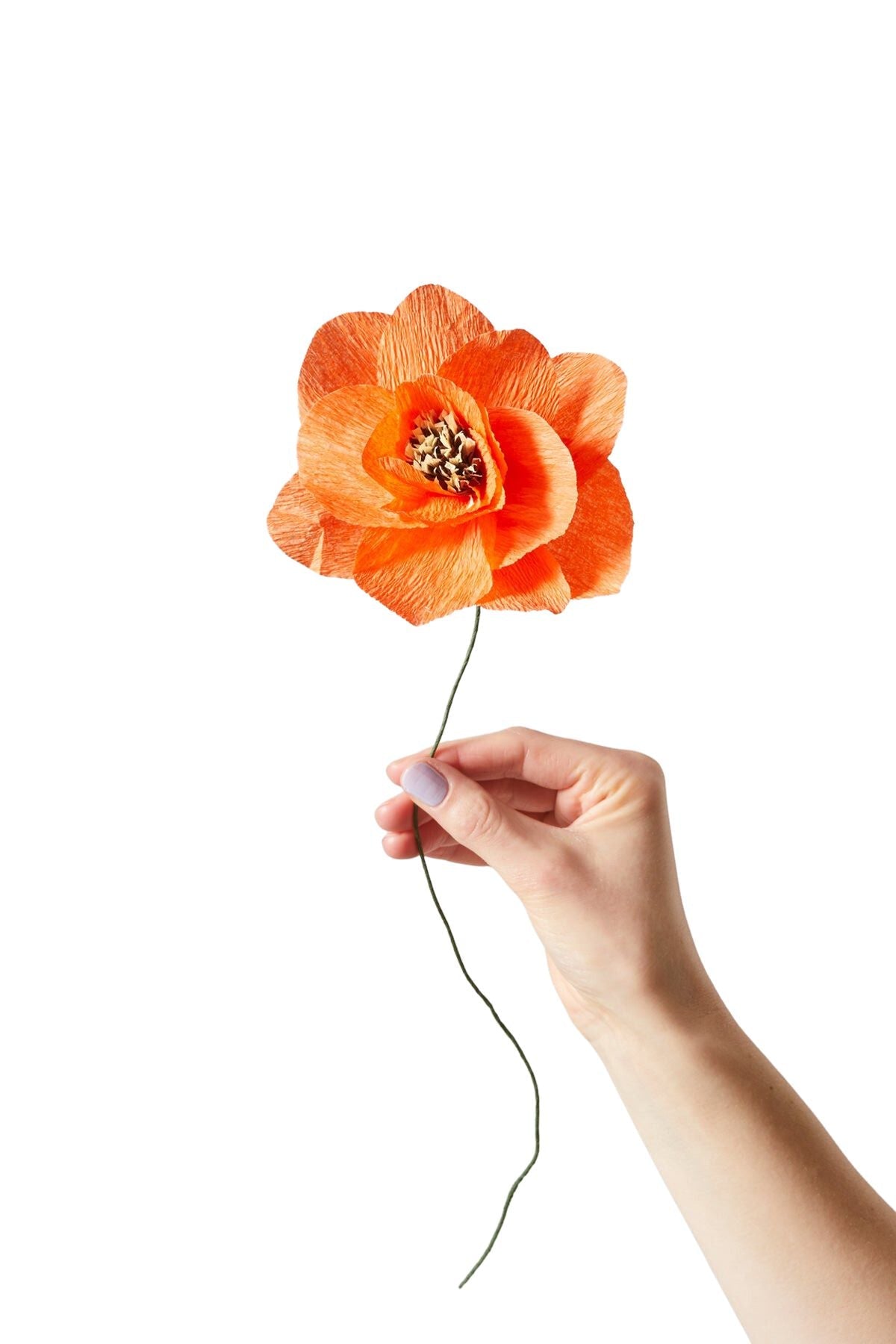 Studio About Paper Flower Poppy, Red