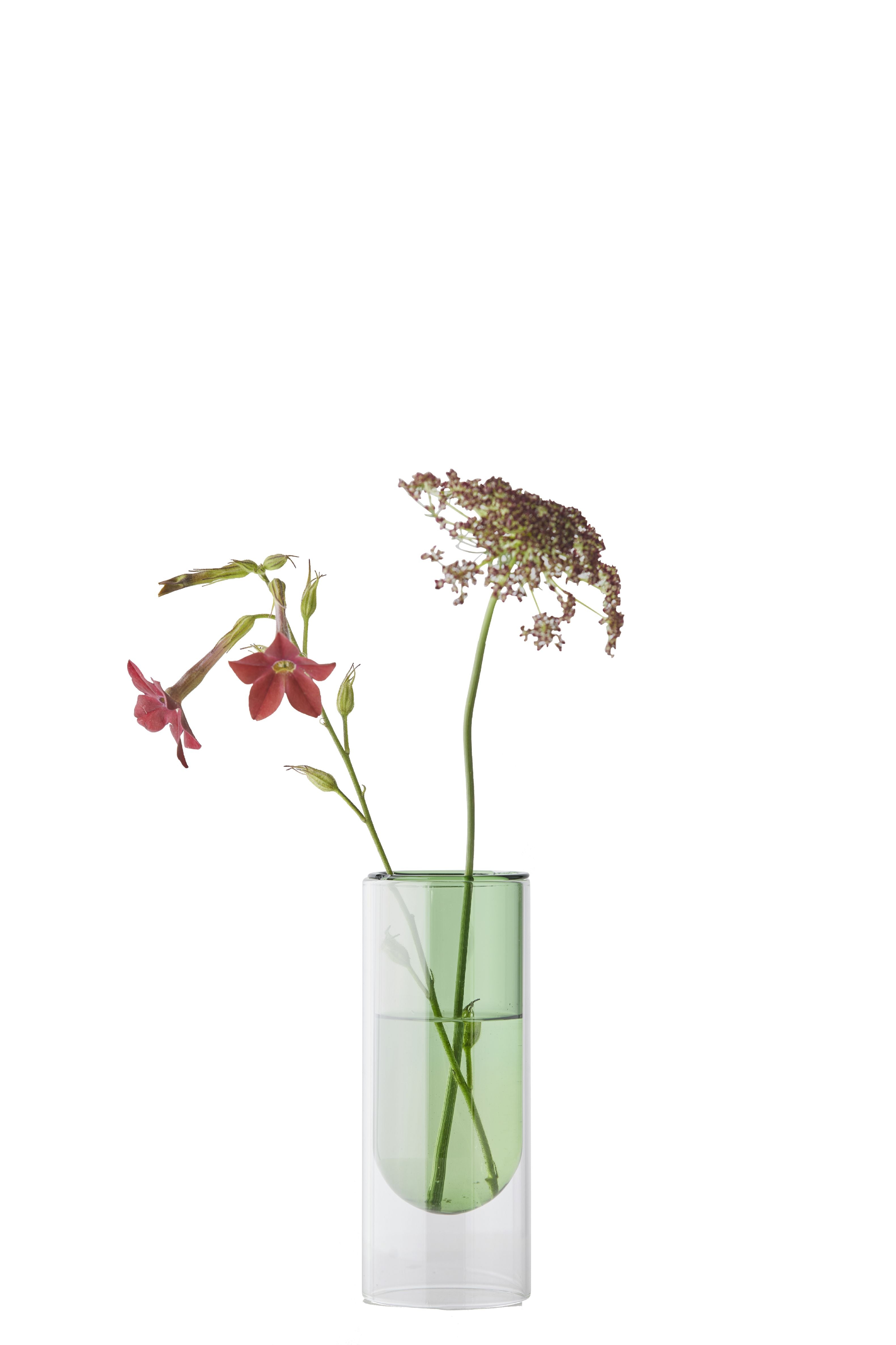 Studio sul vaso del tubo di fiori 16 cm, verde