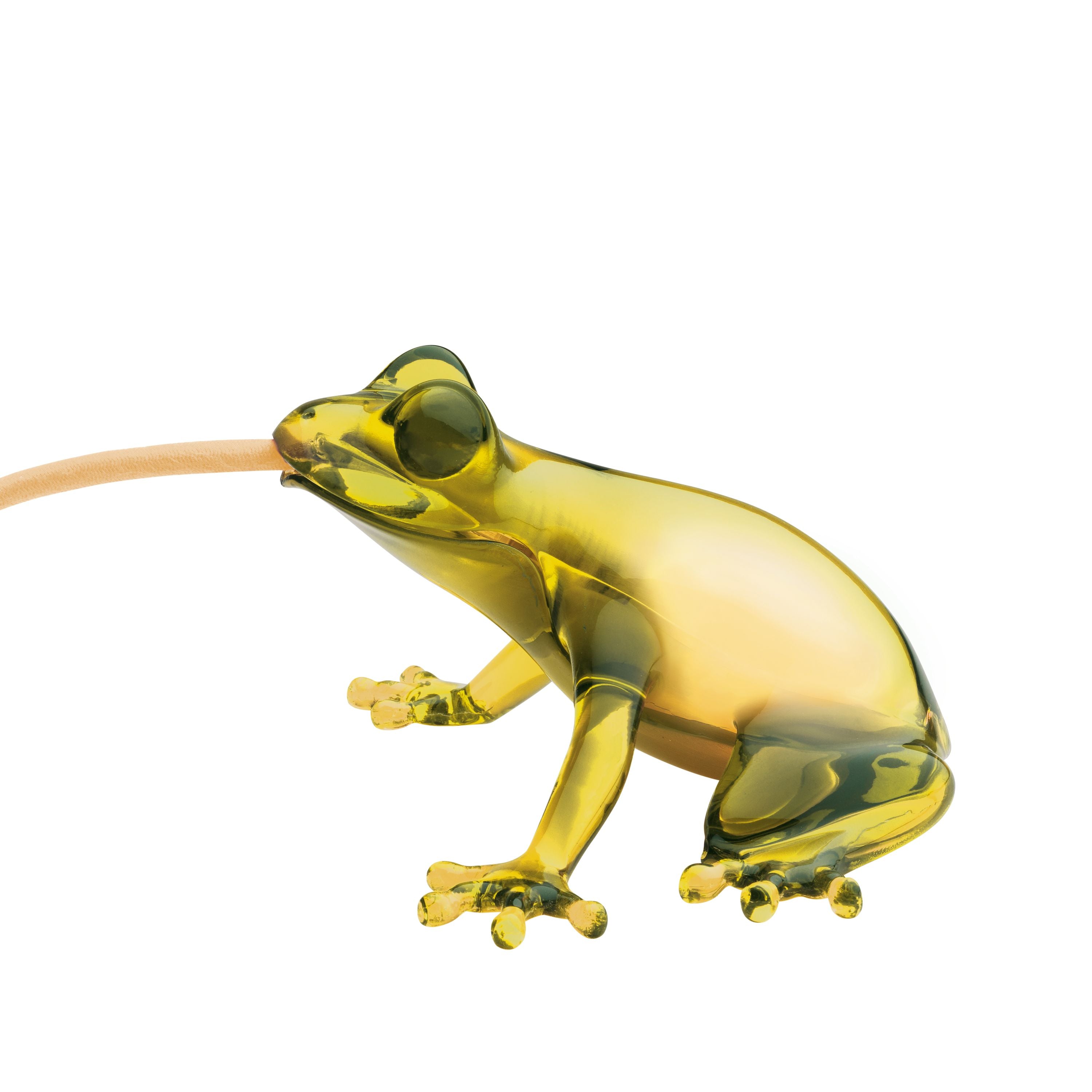 Qeeboo Hungry Frog Lampi, Topaz