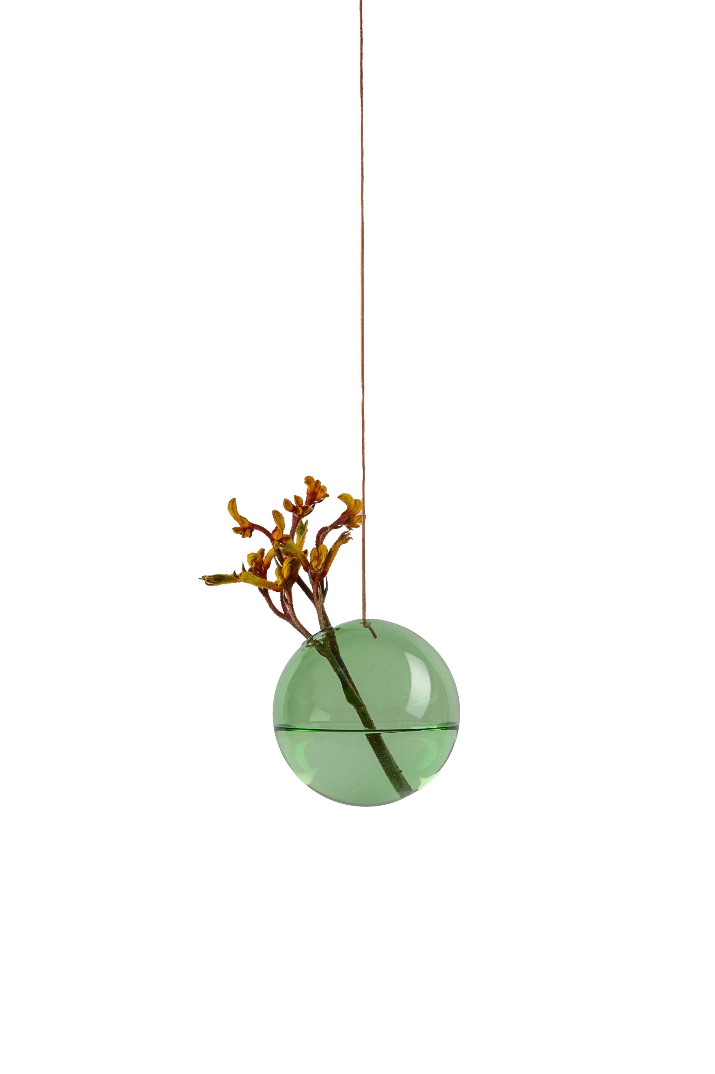 Studio sur la suspension du vase à bulles de fleurs, vert